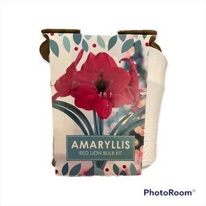 Amaryllis Red Lion Bulb Indoor Plant Kit
